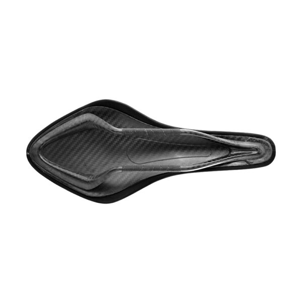 fizik-arione-00-carbono