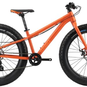 silverback-fat-bike-scoop-half-24